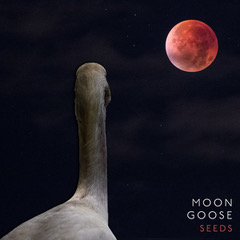moon goose seeds